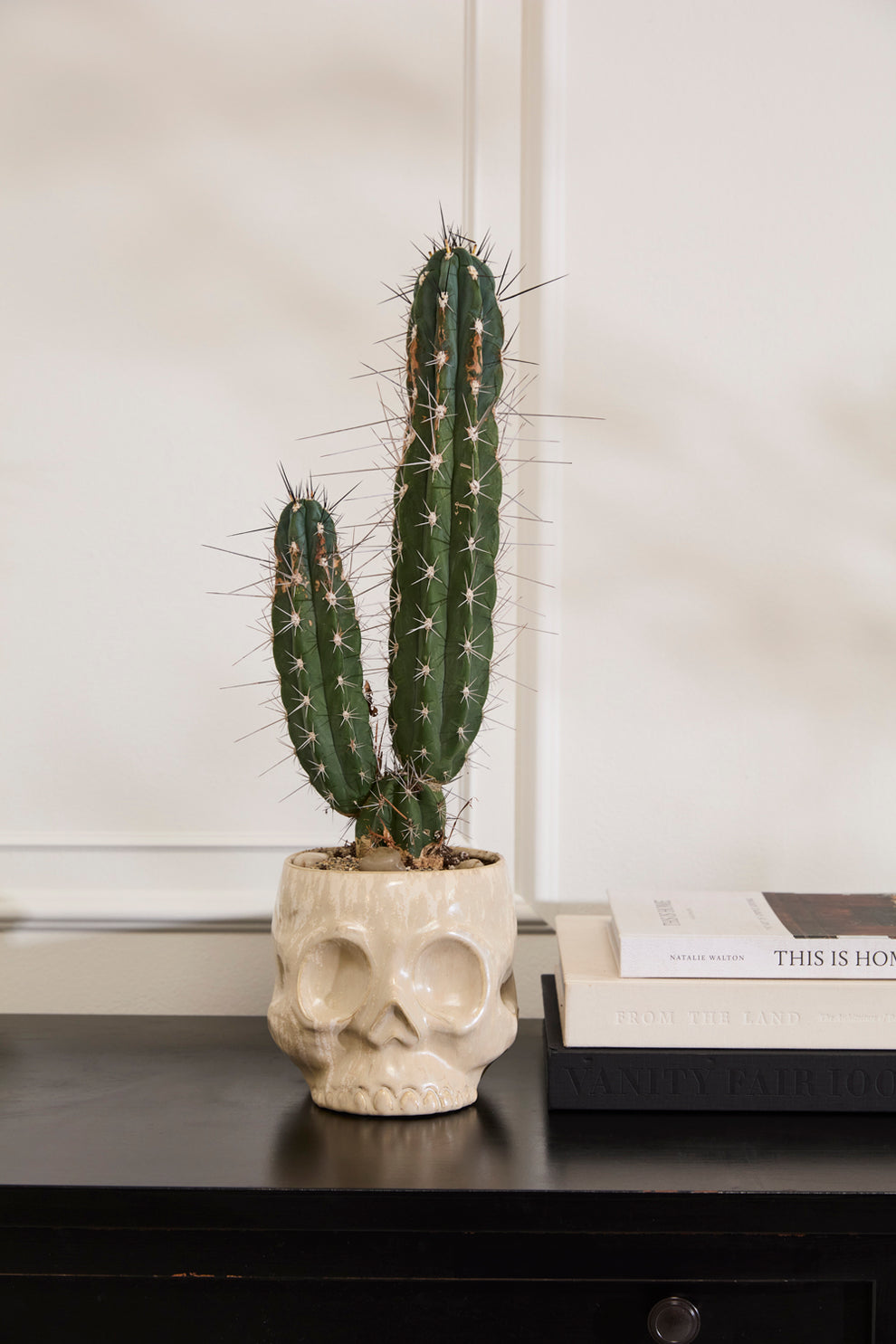 Haunting Skull Pot Set of 2 By Accent Decor | Planters, Troughs & Cachepots | Modishstore - 5