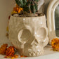 Haunting Skull Pot Set of 2 By Accent Decor | Planters, Troughs & Cachepots | Modishstore - 6