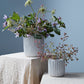 Haven Vase Set of 4 By Accent Decor | Vases | Modishstore - 1