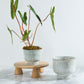 Hayden Pot Set of 2 By Accent Decor | Wall Decor | Modishstore - 3