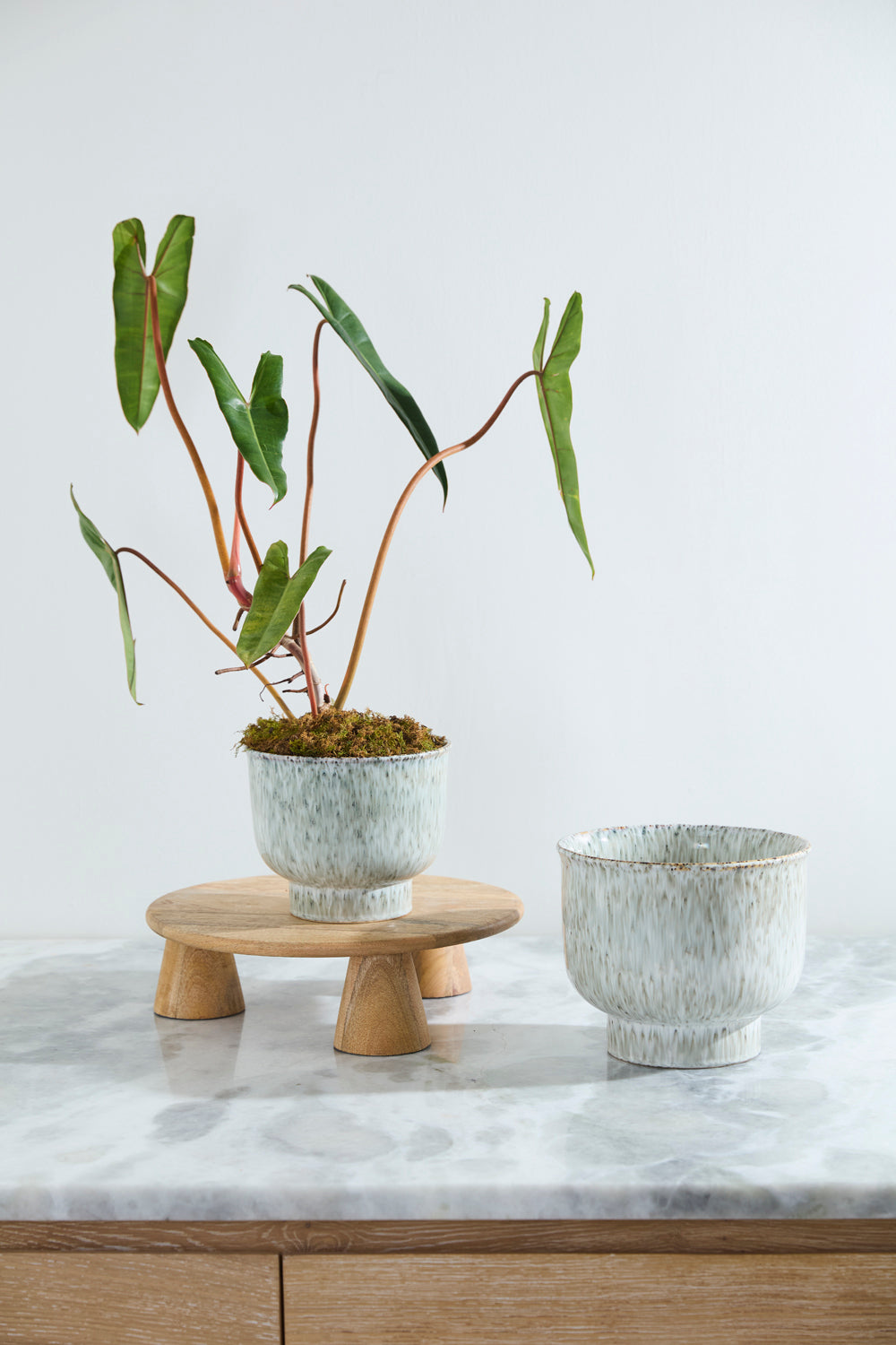 Hayden Pot Set of 2 By Accent Decor | Wall Decor | Modishstore - 3