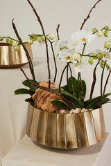 Helena Boat Set of 2 By Accent Decor