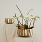 Helena Boat Set of 2 By Accent Decor | Decorative Bowls | Modishstore - 3
