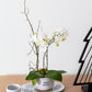 Hello Winter Pot and Tray Set of 4 By Accent Decor | Planters, Troughs & Cachepots | Modishstore - 3