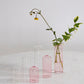 Highball Budvase Set of 8 By Accent Decor | Vases | Modishstore - 1