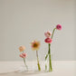 Highball Budvase Set of 8 By Accent Decor | Vases | Modishstore - 3