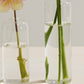 Highball Budvase Set of 8 By Accent Decor | Vases | Modishstore - 4