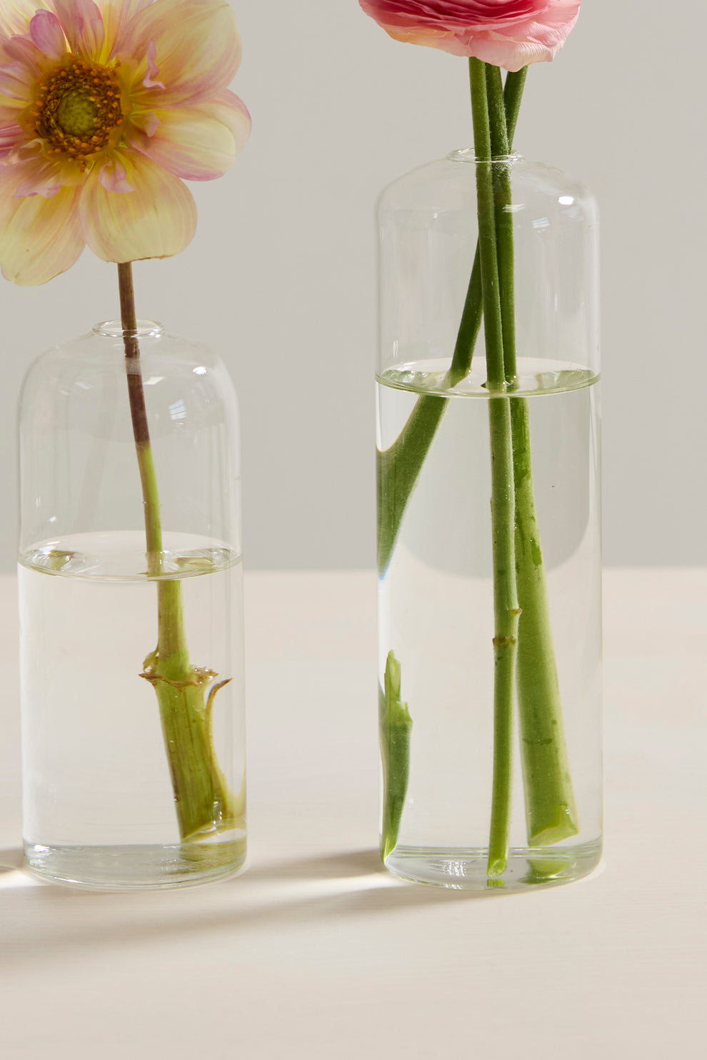 Highball Budvase Set of 8 By Accent Decor | Vases | Modishstore - 4