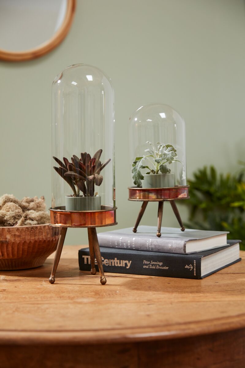 Historic Cloche Stand 5"x 10.75" By Accent Decor | Stands | Modishstore - 3