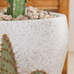 Holcomb Planter By Accent Decor | Planters, Troughs & Cachepots | Modishstore - 1