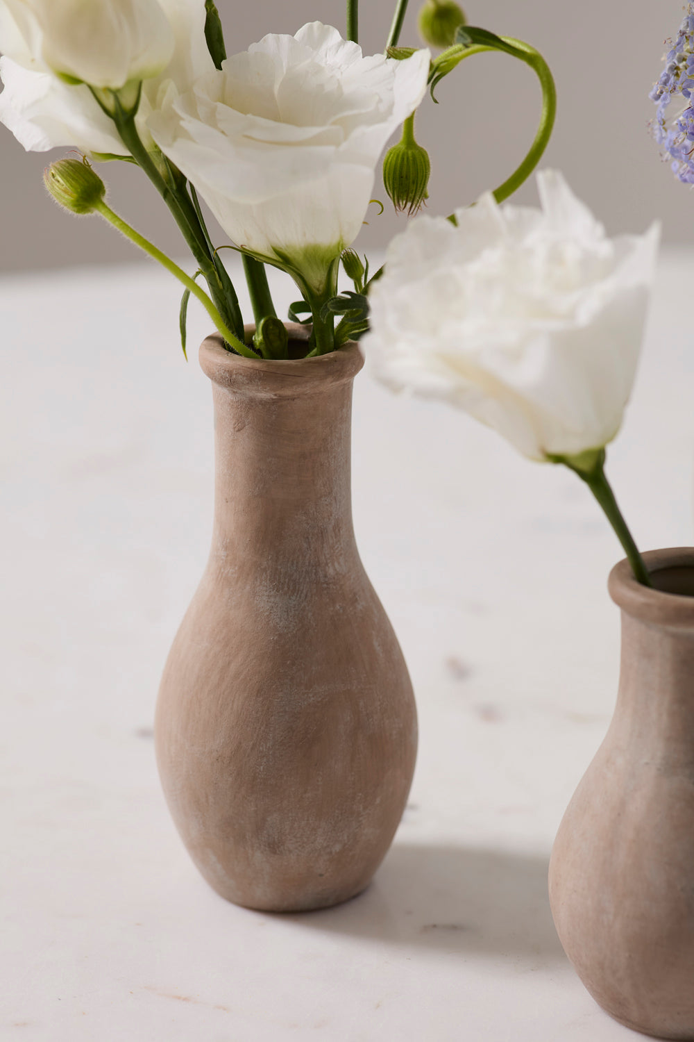 Holden Budvase Set of 8 By Accent Decor | Vases | Modishstore - 1