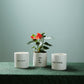 Holiday Expressions Pot Set of 8 By Accent Decor | Planters, Troughs & Cachepots | Modishstore - 1
