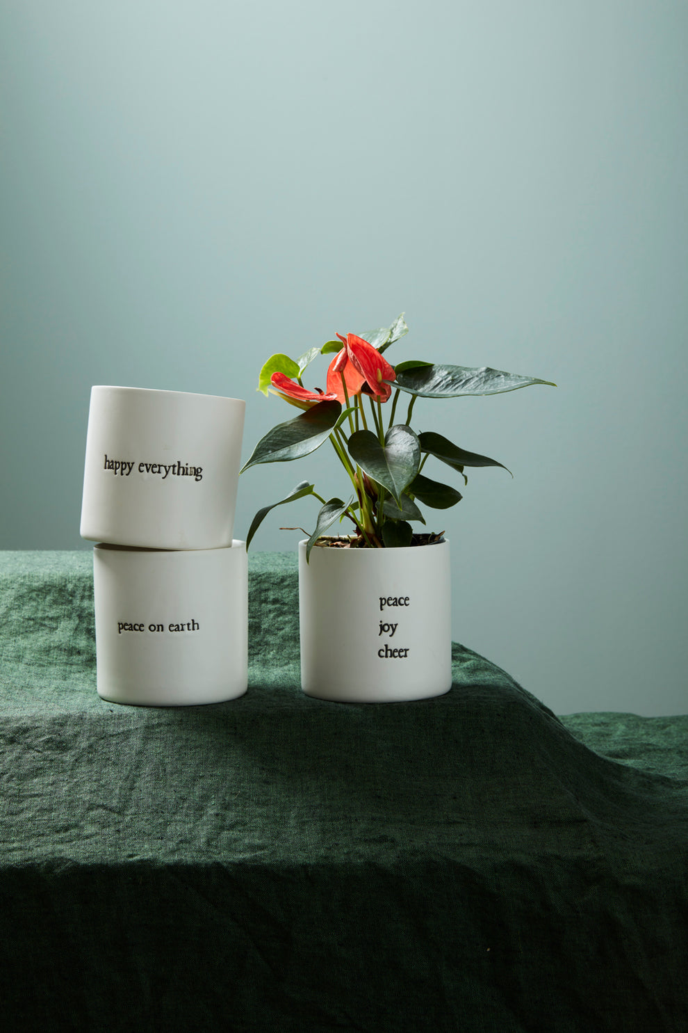 Holiday Expressions Pot Set of 8 By Accent Decor | Planters, Troughs & Cachepots | Modishstore - 3