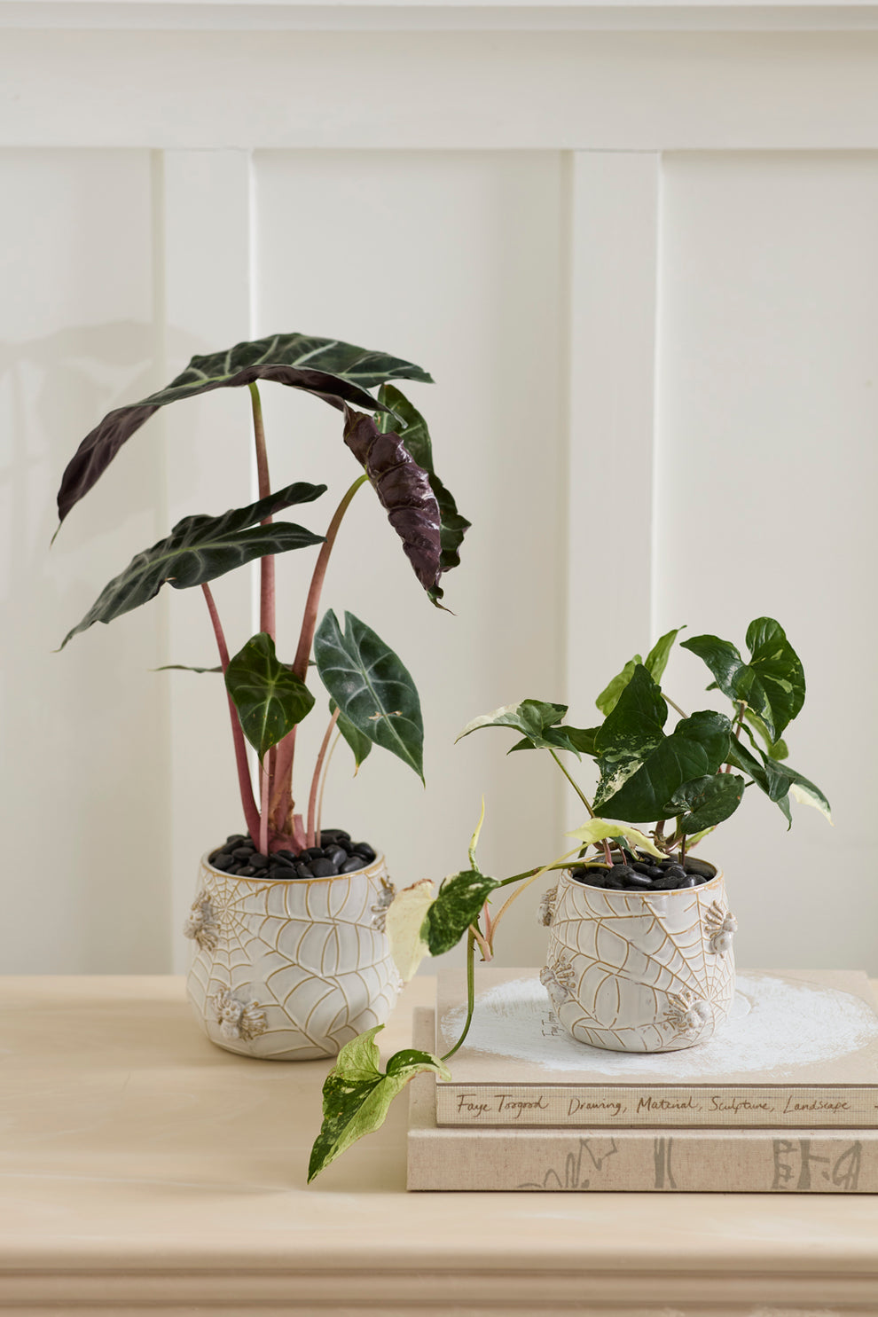House Spider Pot Set of 4 By Accent Decor | Planters, Troughs & Cachepots | Modishstore - 3