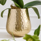 Hux Pot Set of 4 By Accent Decor | Planters, Troughs & Cachepots | Modishstore - 4