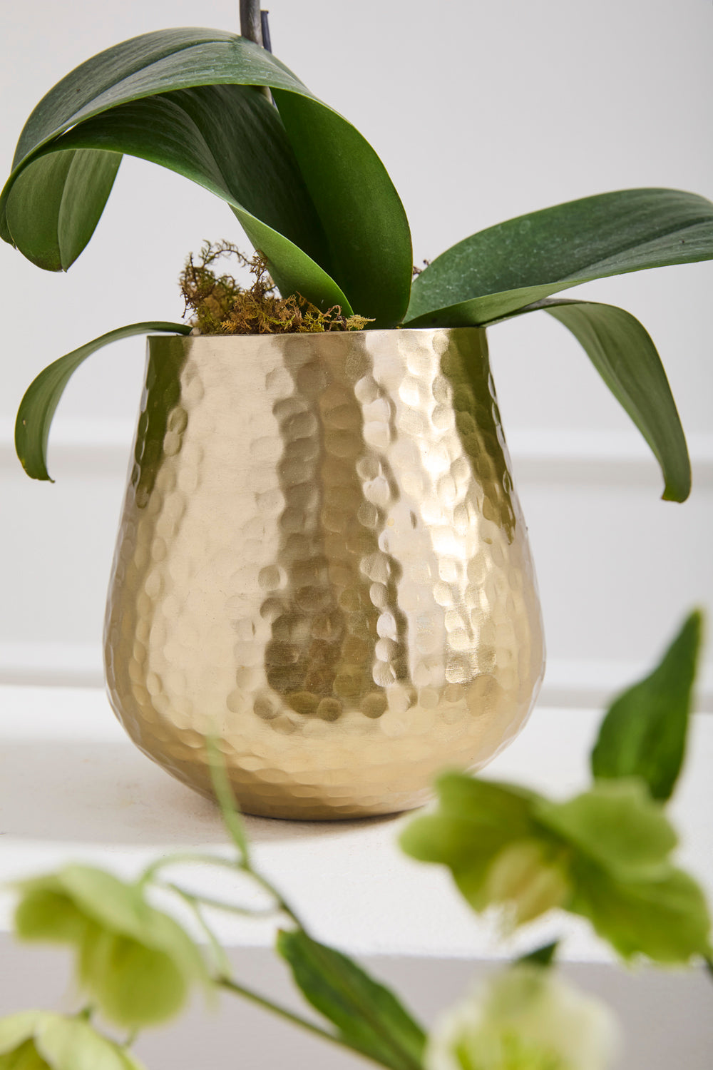 Hux Pot Set of 4 By Accent Decor | Planters, Troughs & Cachepots | Modishstore - 4