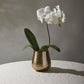 Hux Pot Set of 4 By Accent Decor | Planters, Troughs & Cachepots | Modishstore - 5