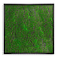Green Wall, ‘New Moss Square’ By Gold Leaf | Wall Art | Modishstore - 1
