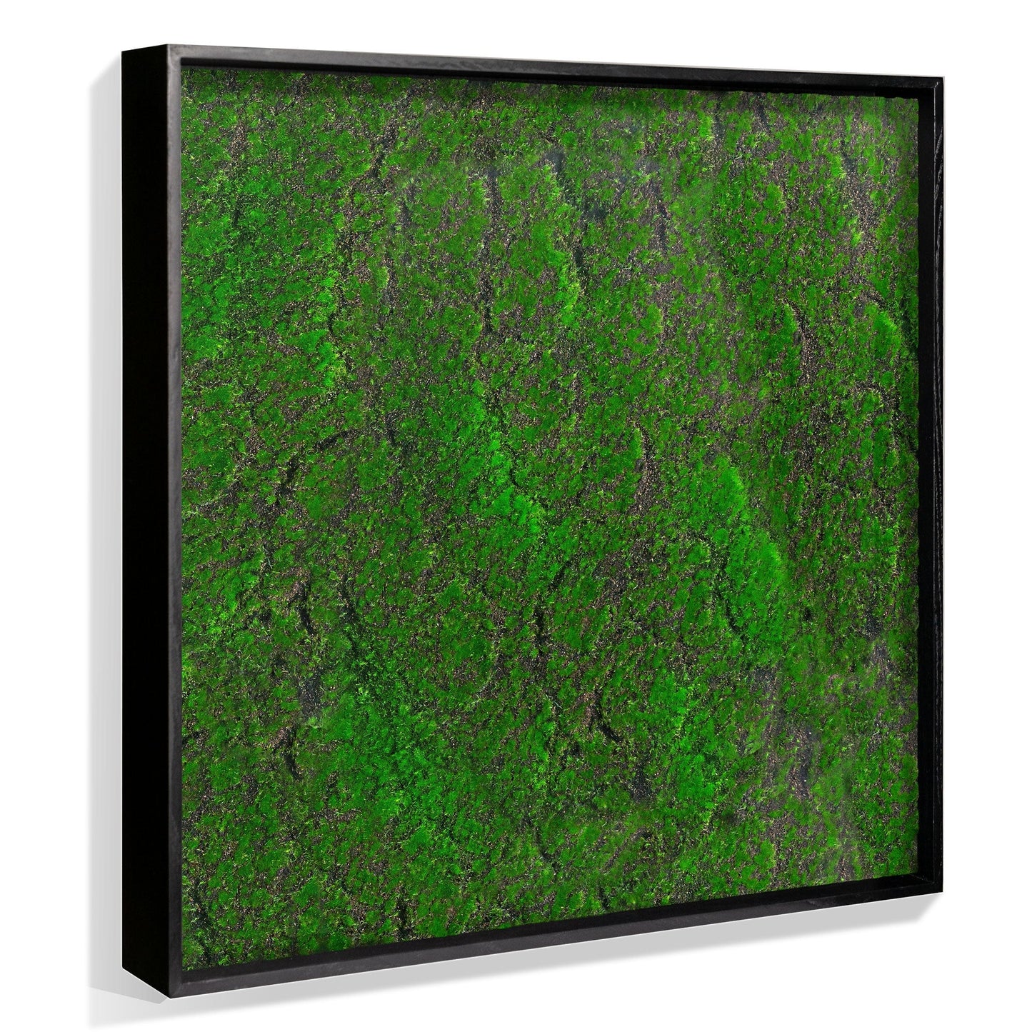 Green Wall, ‘New Moss Square’ By Gold Leaf | Wall Art | Modishstore - 2