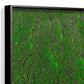 Green Wall, ‘New Moss Square’ By Gold Leaf | Wall Art | Modishstore - 3