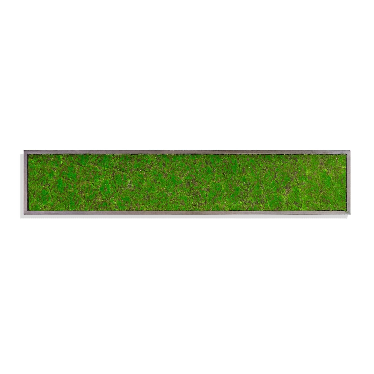 Green Wall, ‘New Moss Rectangle’, 62.5"L By Gold Leaf | Wall Art | Modishstore - 1