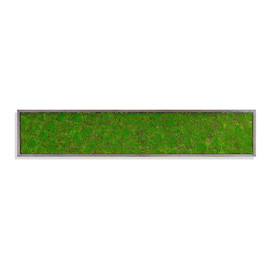 Green Wall, ‘New Moss Rectangle’, 62.5"L By Gold Leaf | Wall Art | Modishstore - 1