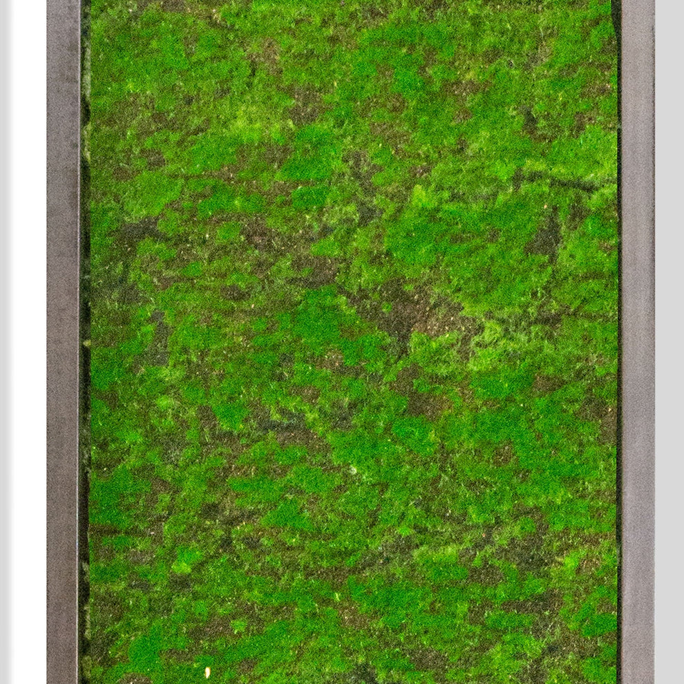 Green Wall, ‘New Moss Rectangle’, 62.5"L By Gold Leaf | Wall Art | Modishstore - 3