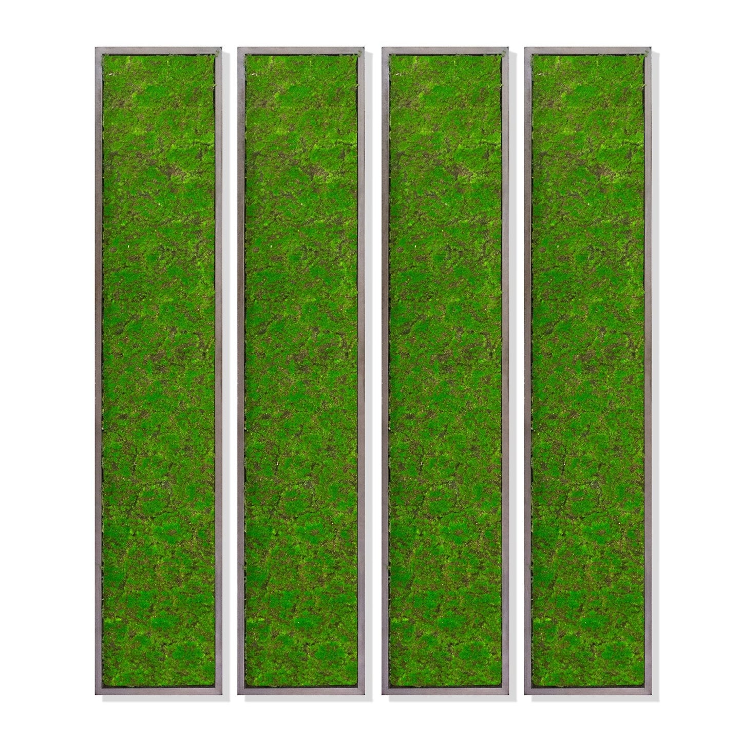 Green Wall, ‘New Moss Rectangle’, 62.5"L By Gold Leaf | Wall Art | Modishstore - 5