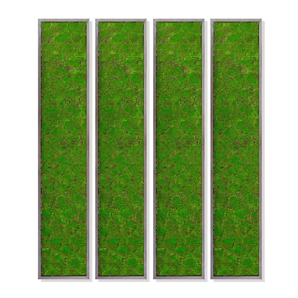 Green Wall, ‘New Moss Rectangle’, 62.5"L By Gold Leaf | Wall Art | Modishstore - 5