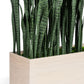 Sansevieria 33"H in Whitewash Rectangle Planter By Gold Leaf | Planters, Troughs & Cachepots | Modishstore - 4