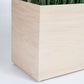 Sansevieria 33"H in Whitewash Rectangle Planter By Gold Leaf | Planters, Troughs & Cachepots | Modishstore - 3