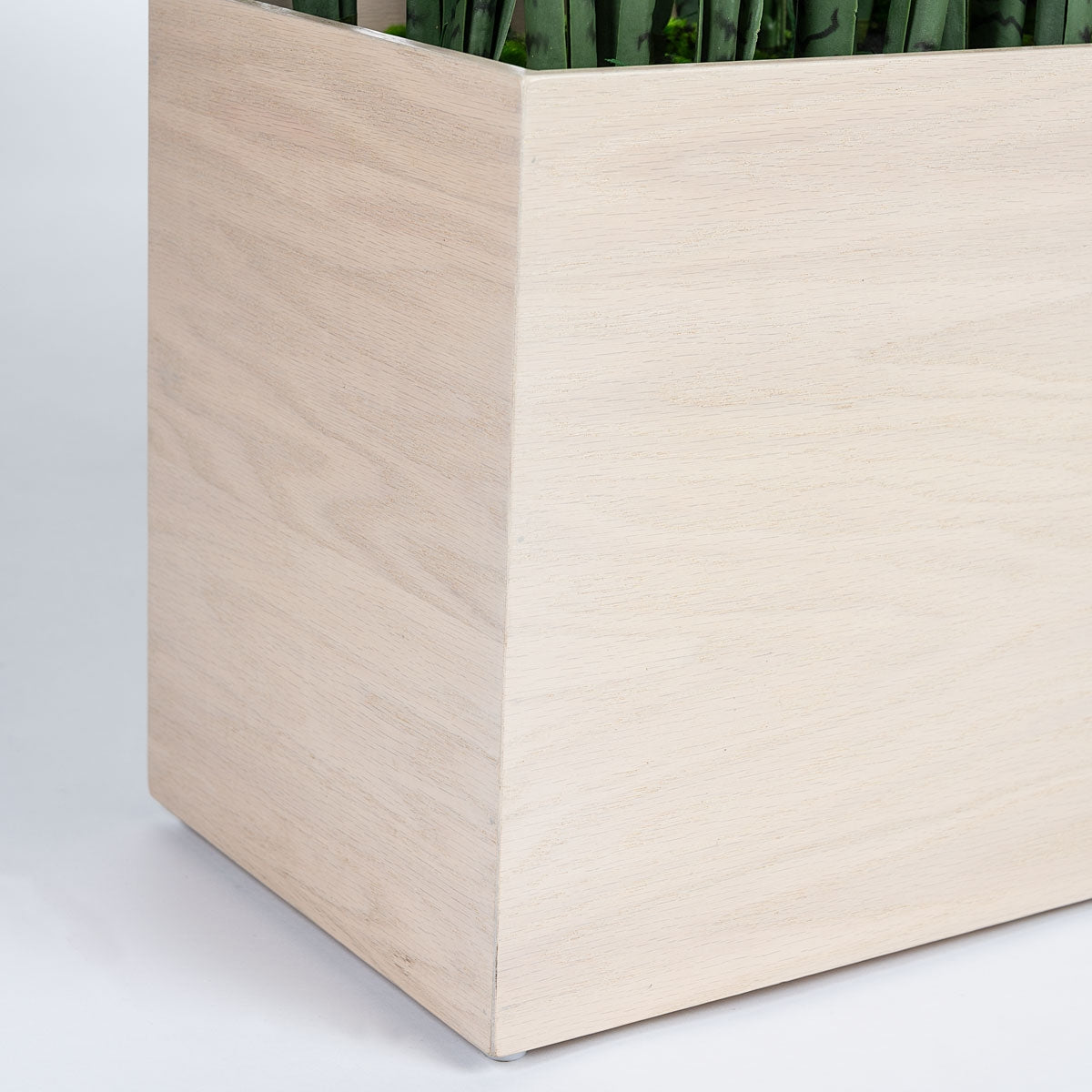 Sansevieria 29"H in Whitewash Rectangle Planter By Gold Leaf | Planters, Troughs & Cachepots | Modishstore - 4