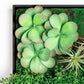 Green Wall, Button Fern Mix By Gold Leaf | Wall Art | Modishstore - 4