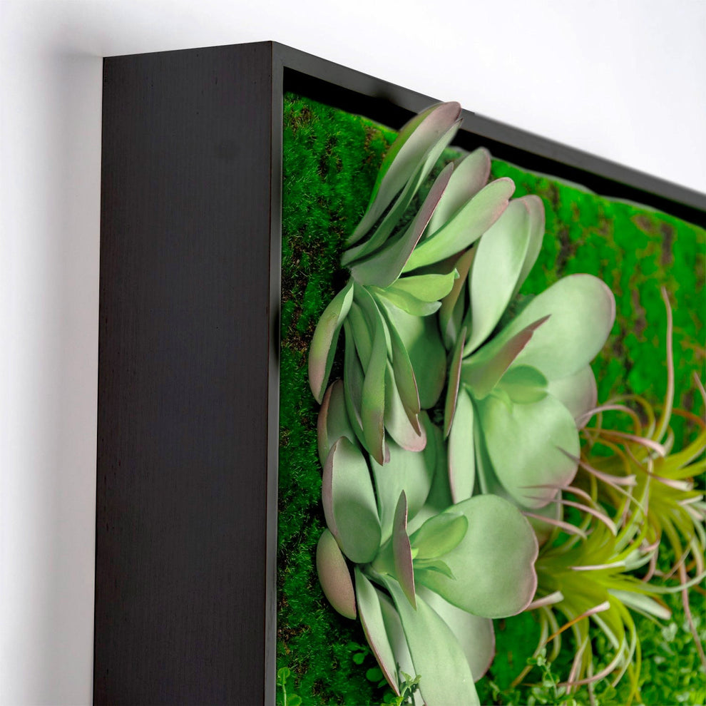 Green Wall, Button Fern Mix By Gold Leaf | Wall Art | Modishstore - 5