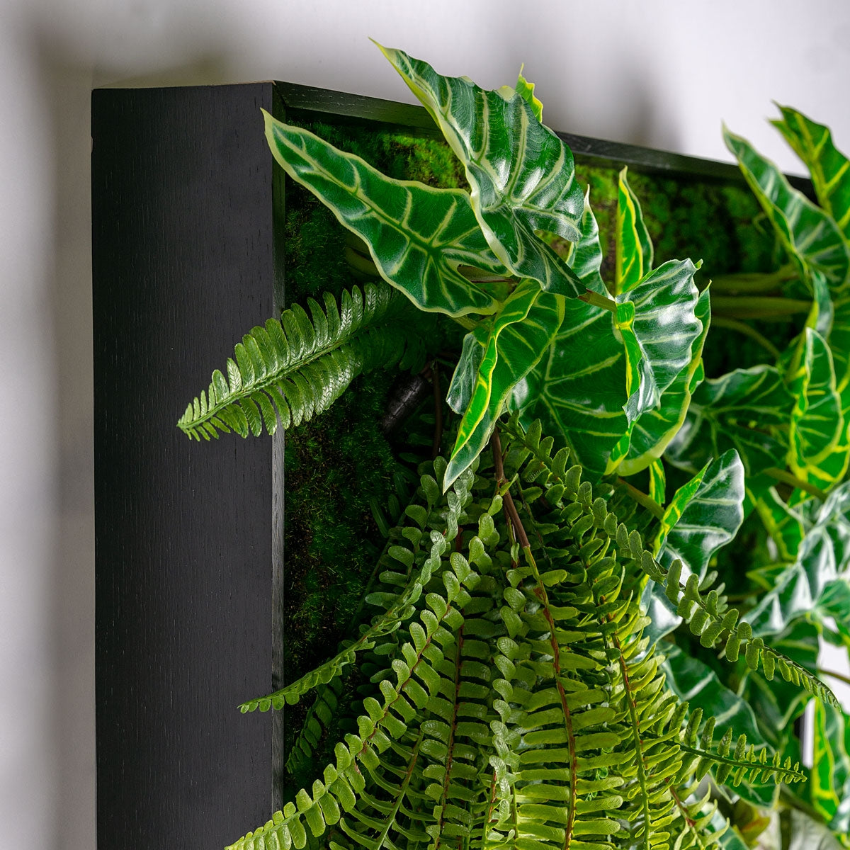 Green Wall, Trailing Mix #2 By Gold Leaf | Wall Art | Modishstore - 3