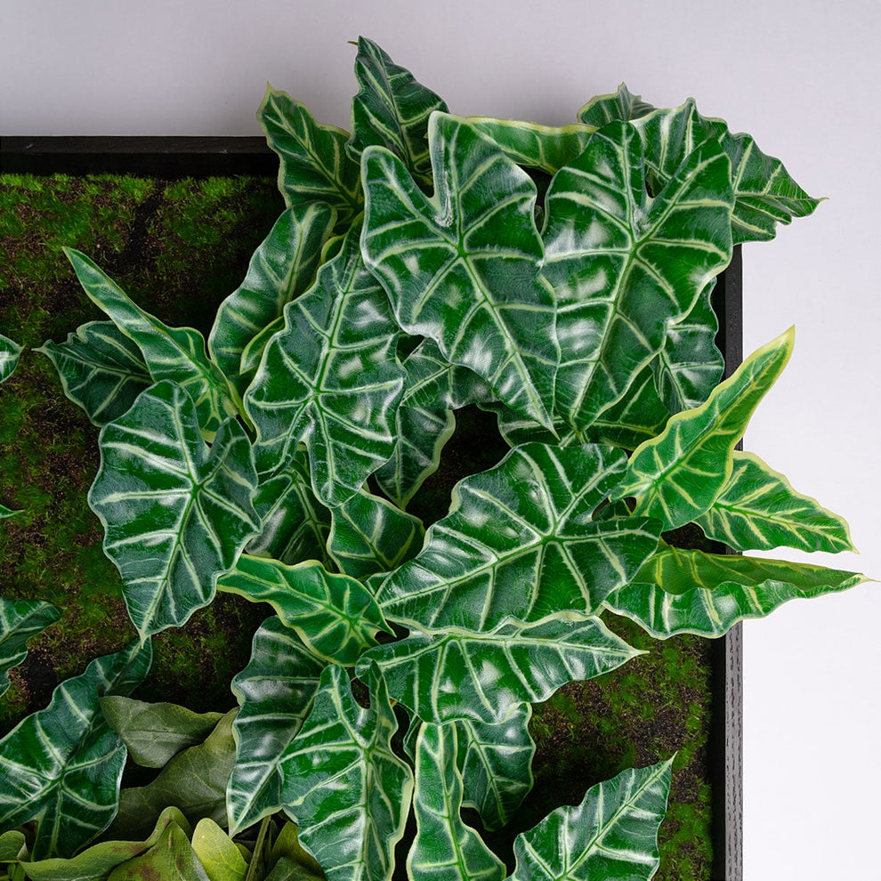 Green Wall, Trailing Mix #2 By Gold Leaf | Wall Art | Modishstore - 2