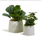 Hand Carved Planter Set Of 4 By Tozai Home | Planters, Troughs & Cachepots | Modishstore - 3