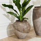 Incline Vase By Accent Decor | Vases | Modishstore - 5