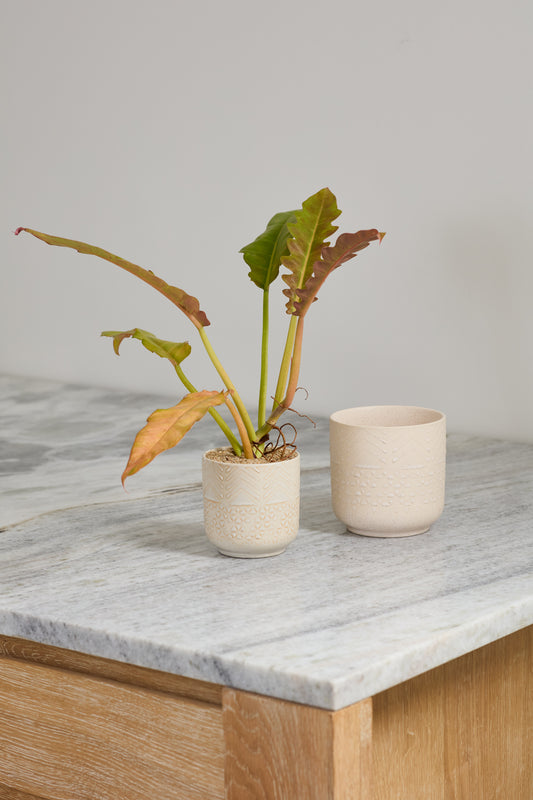 Indo Pot Set of 4 By Accent Decor | Planters, Troughs & Cachepots | Modishstore - 1