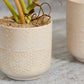 Indo Pot Set of 4 By Accent Decor | Planters, Troughs & Cachepots | Modishstore - 4