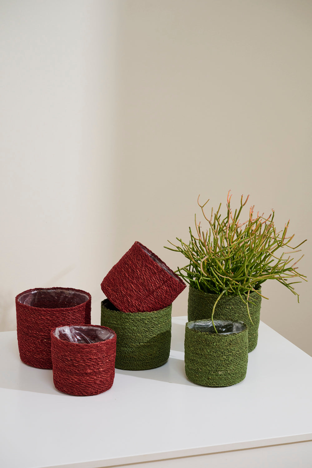 Inkberry Basket - Set of 6 By Accent Decor | Planters, Troughs & Cachepots | Modishstore - 3