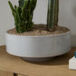 Inventor Bowl By Accent Decor | Decorative Bowls | Modishstore - 1