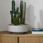 Inventor Bowl By Accent Decor | Decorative Bowls | Modishstore - 3