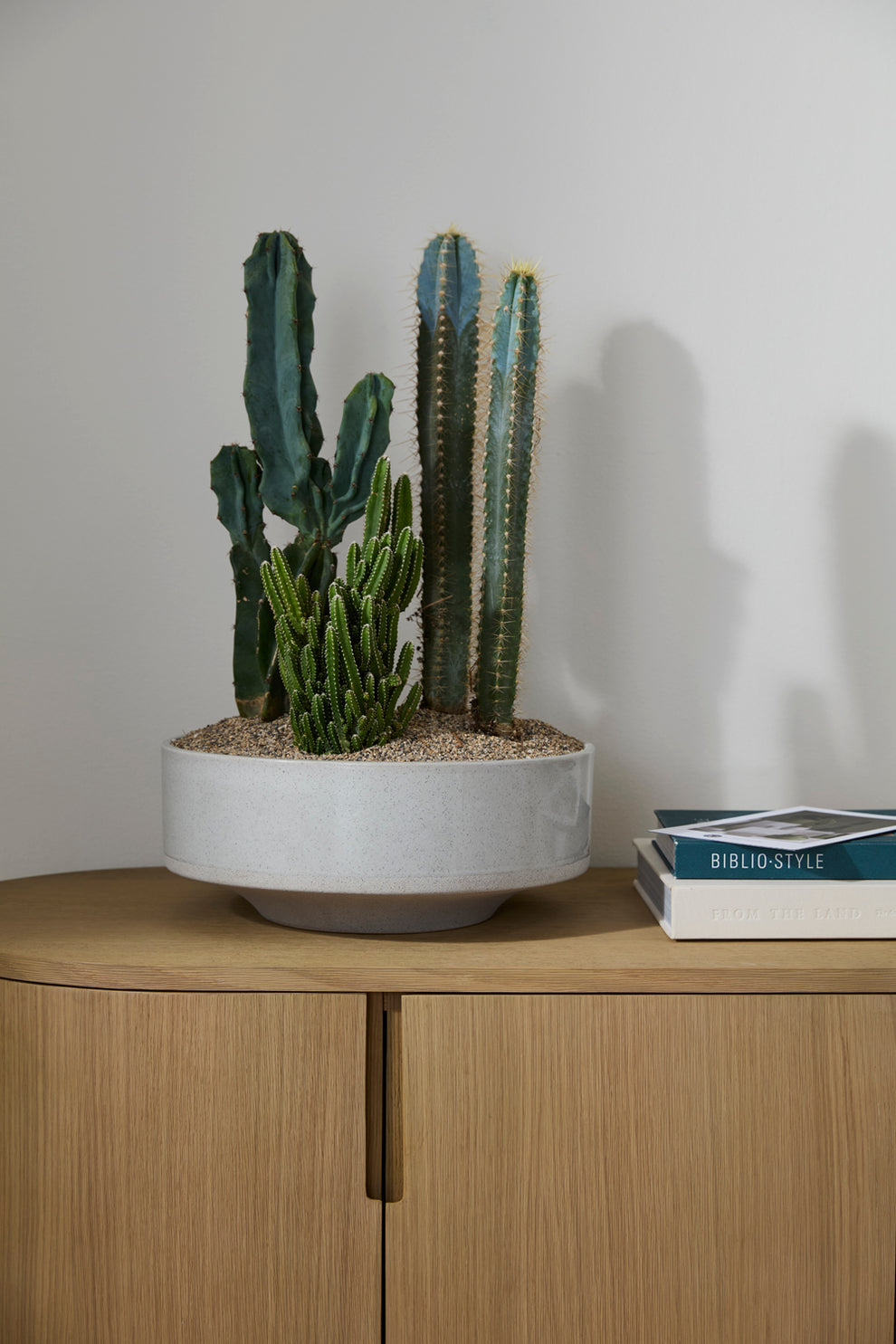 Inventor Bowl By Accent Decor | Decorative Bowls | Modishstore - 3