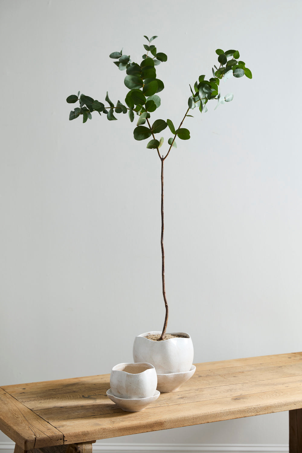 Iona Pot By Accent Decor | Planters, Troughs & Cachepots | Modishstore - 5