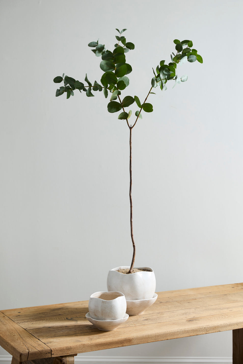 Iona Pot By Accent Decor | Planters, Troughs & Cachepots | Modishstore - 5