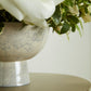 Isabella Compote Set of 4 By Accent Decor | Planters, Troughs & Cachepots | Modishstore - 1