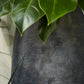 Ishara Vase By Accent Decor | Vases | Modishstore - 1