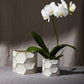 Jabi Pot Set of 4 By Accent Decor | Planters, Troughs & Cachepots | Modishstore - 1