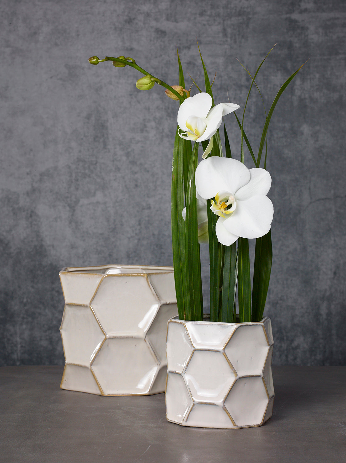 Jabi Pot Set of 4 By Accent Decor | Planters, Troughs & Cachepots | Modishstore - 3